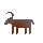 Reindeer